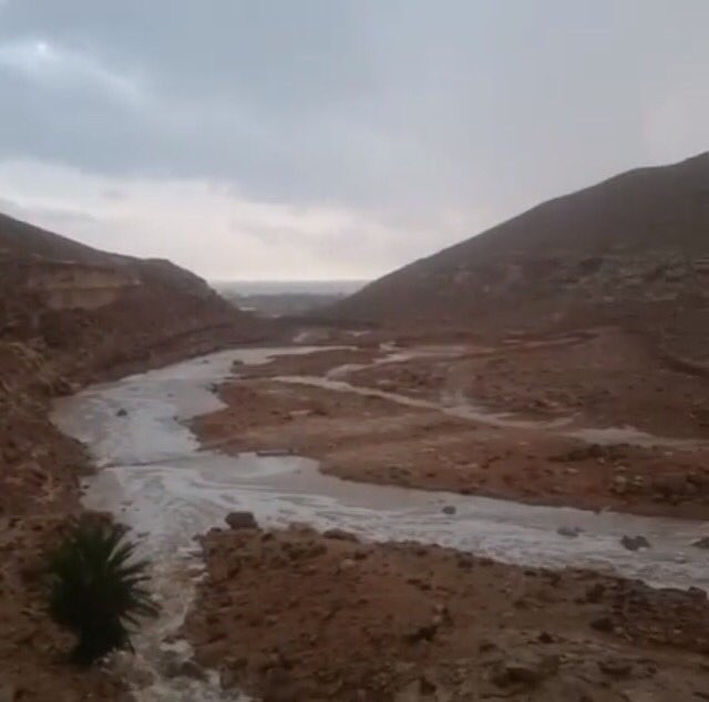 The western desert after rains
