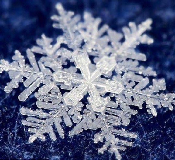 oh❄️