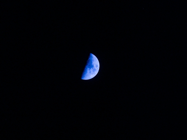 Bluemoon