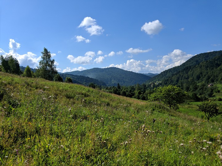 Carpathian mountains Ukraine