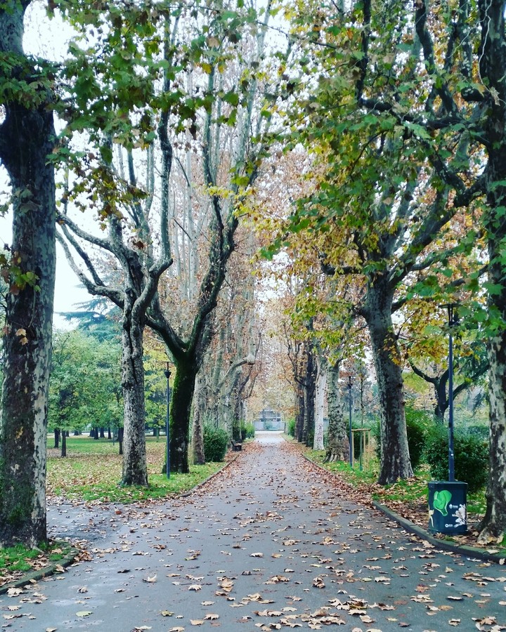 La mattinata