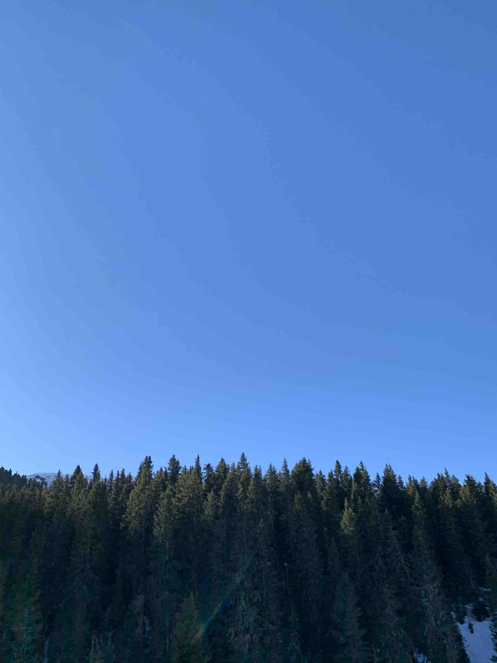 mountain