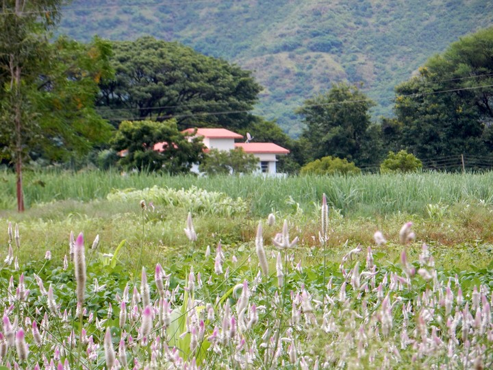 satara...dist..maharashtra...india