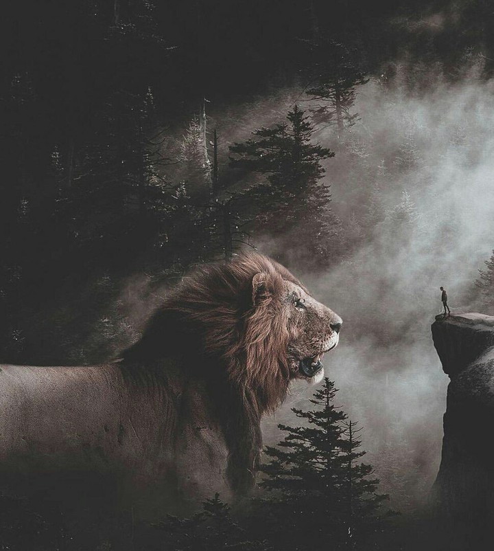 Tribute to the king