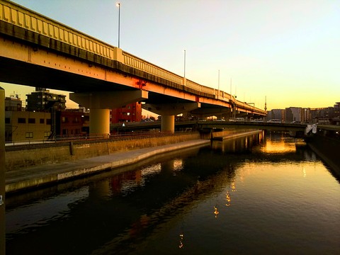 sunset