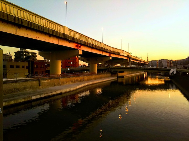 sunset