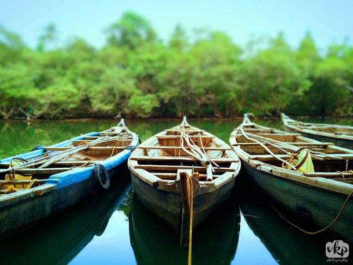 boats