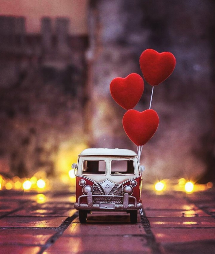 lovely little bus