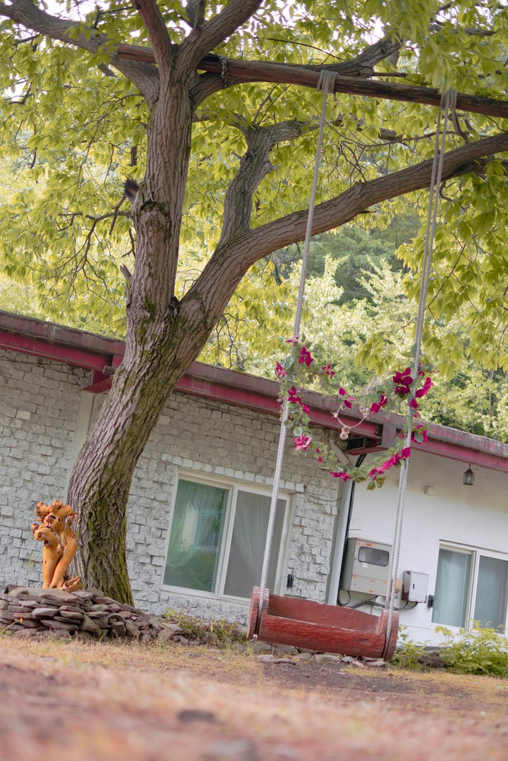 Tree swing