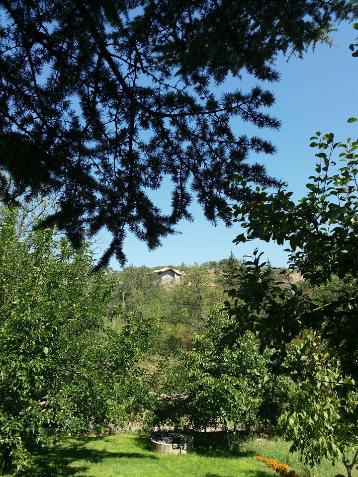 Nature