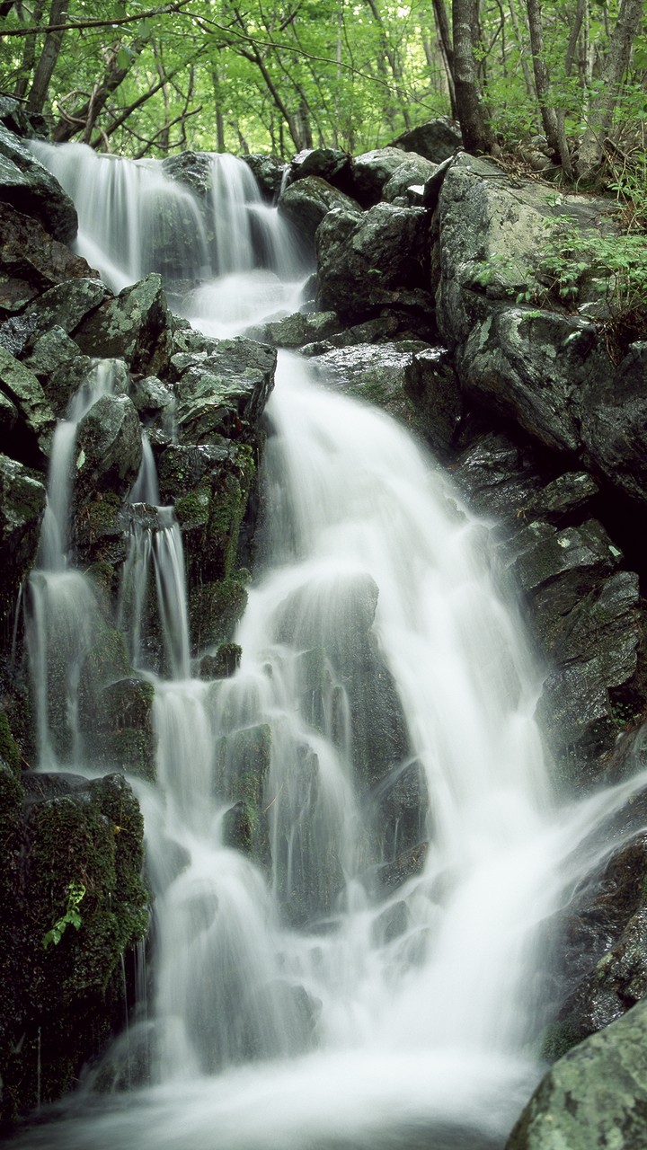 Stream