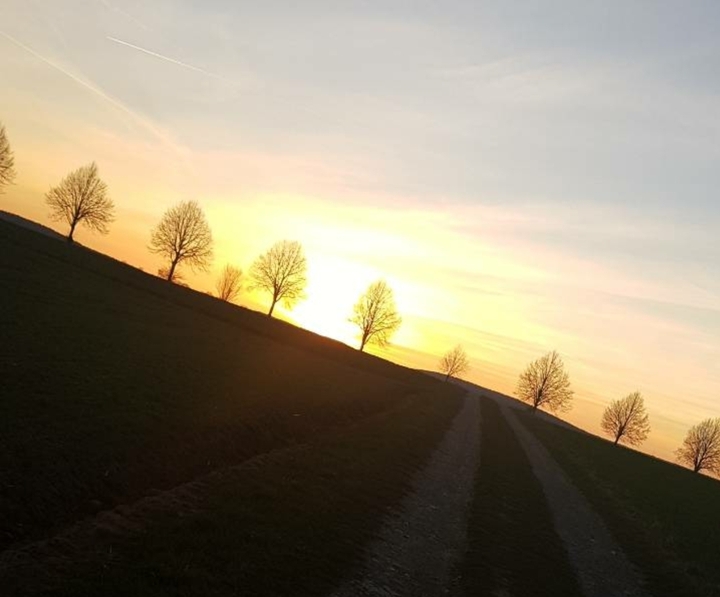 loveit