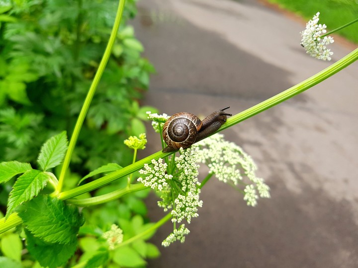 A part of nature