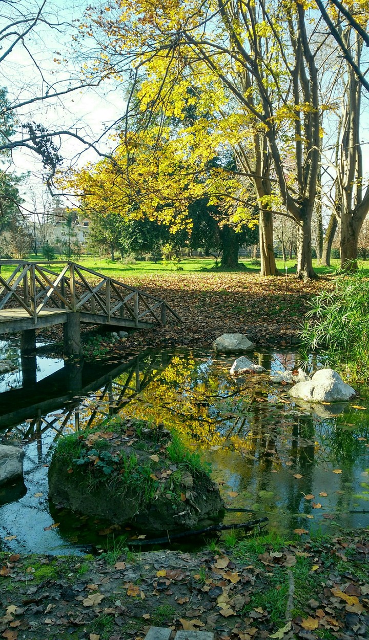 beautiful garden.