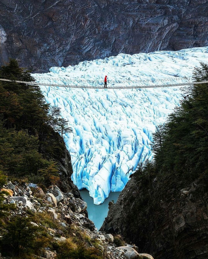ice & the forest