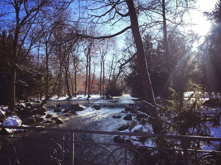 Winter's sunshine