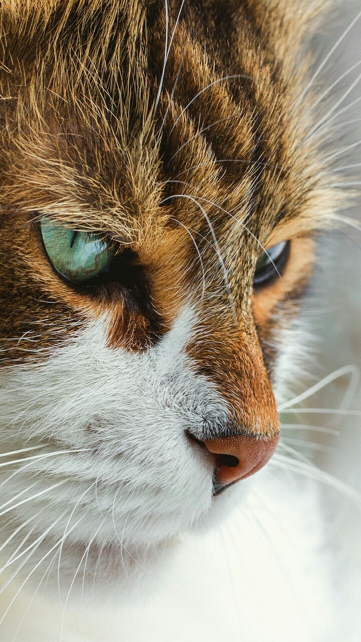 Close up!