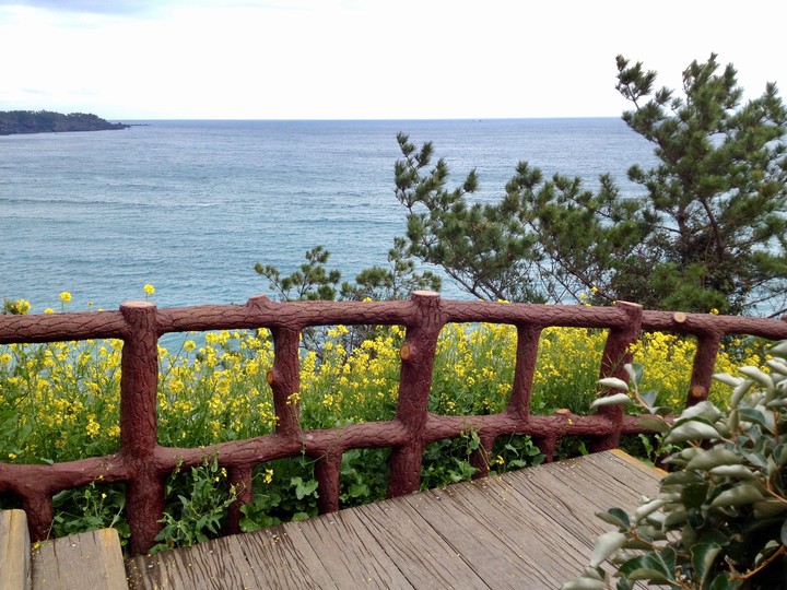 Jeju island, Korea, 2014