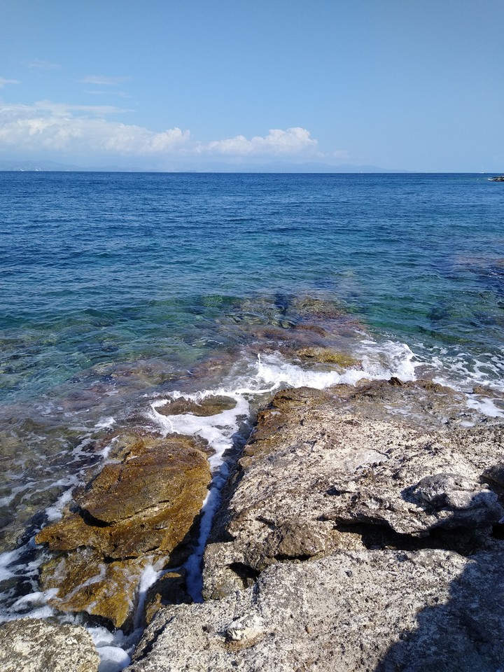 paxos