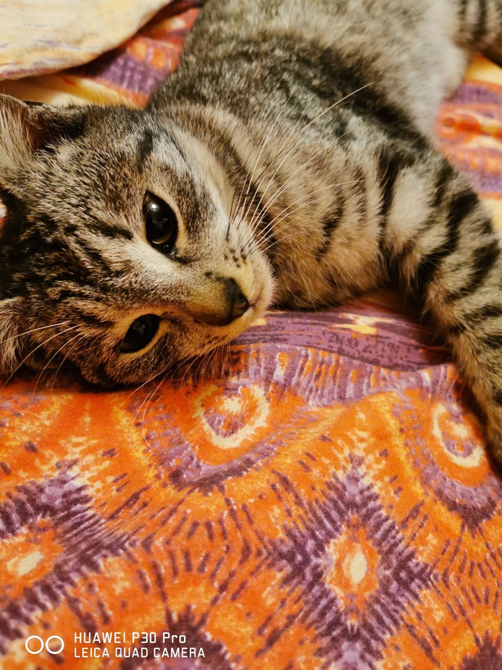 my love