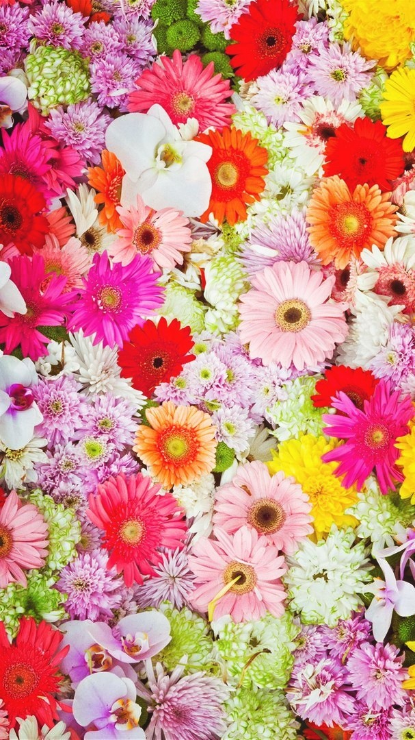 flowers