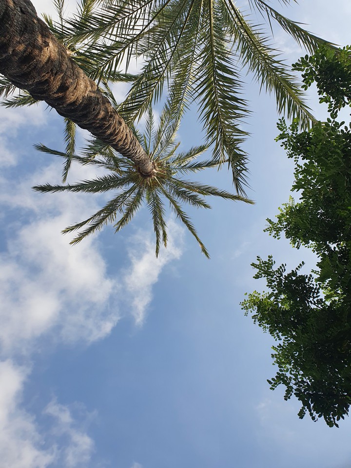 sky