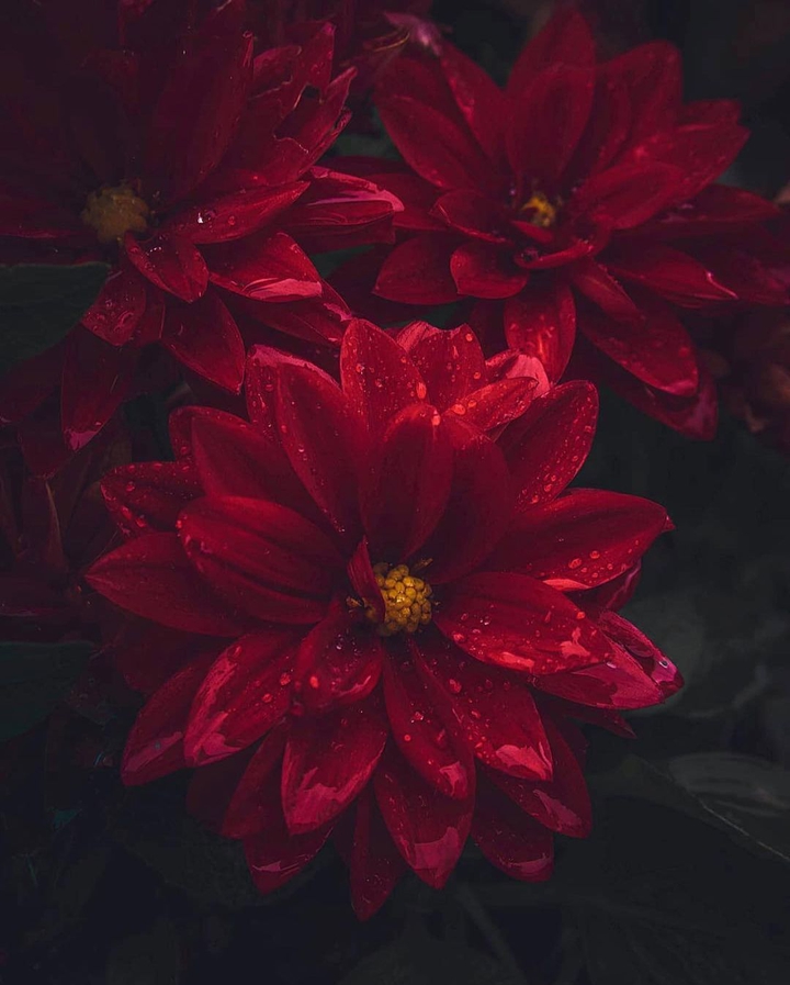 ☆♡☆♡☆