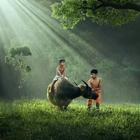 the beauty of Indonesia's nature
