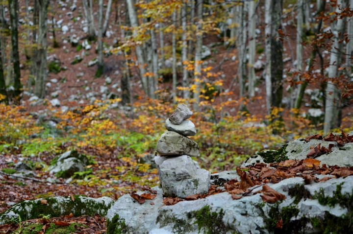 Nature in Friuli