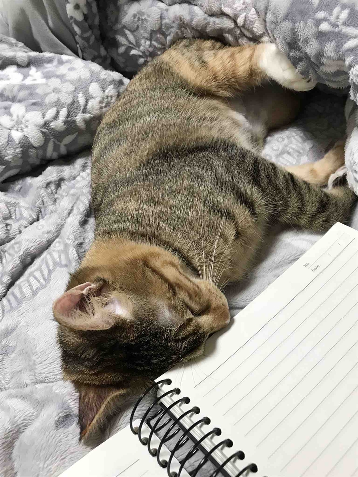 ❤️