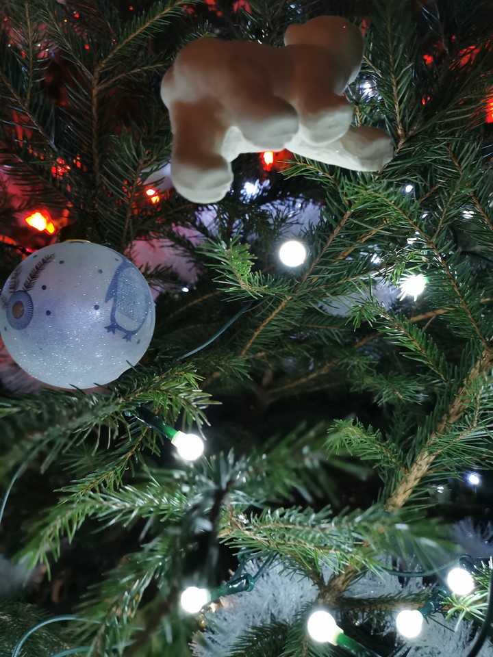 - Christmas-