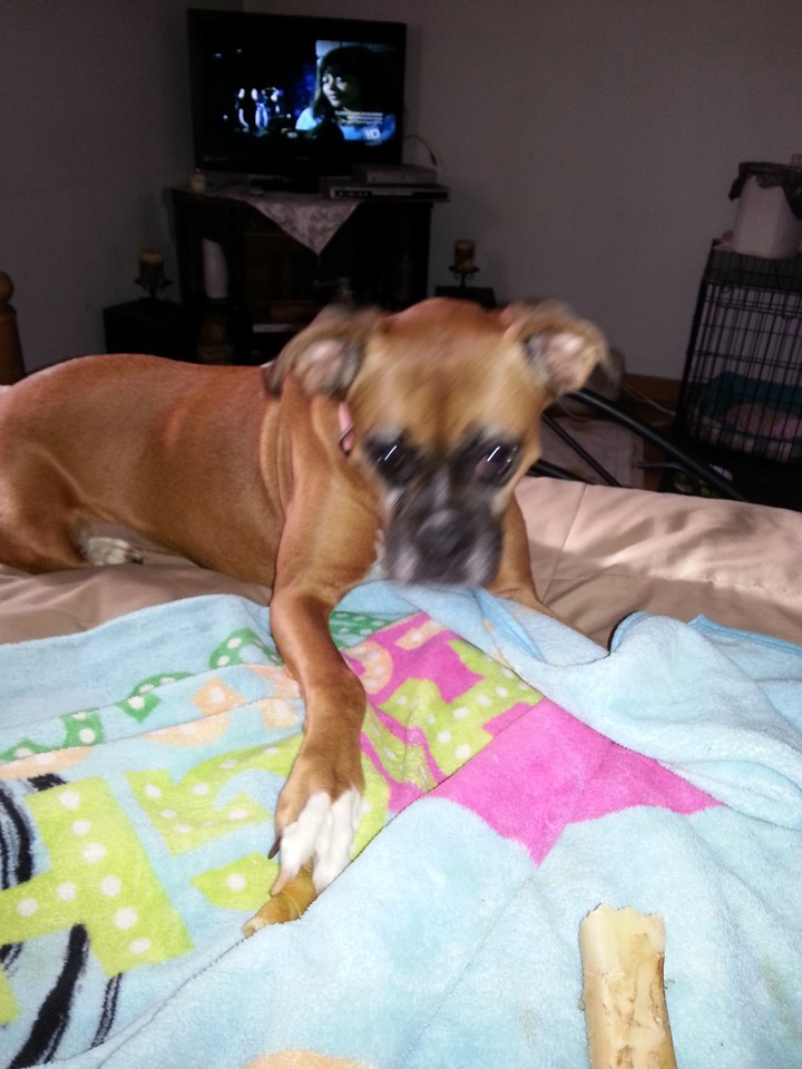 sadie