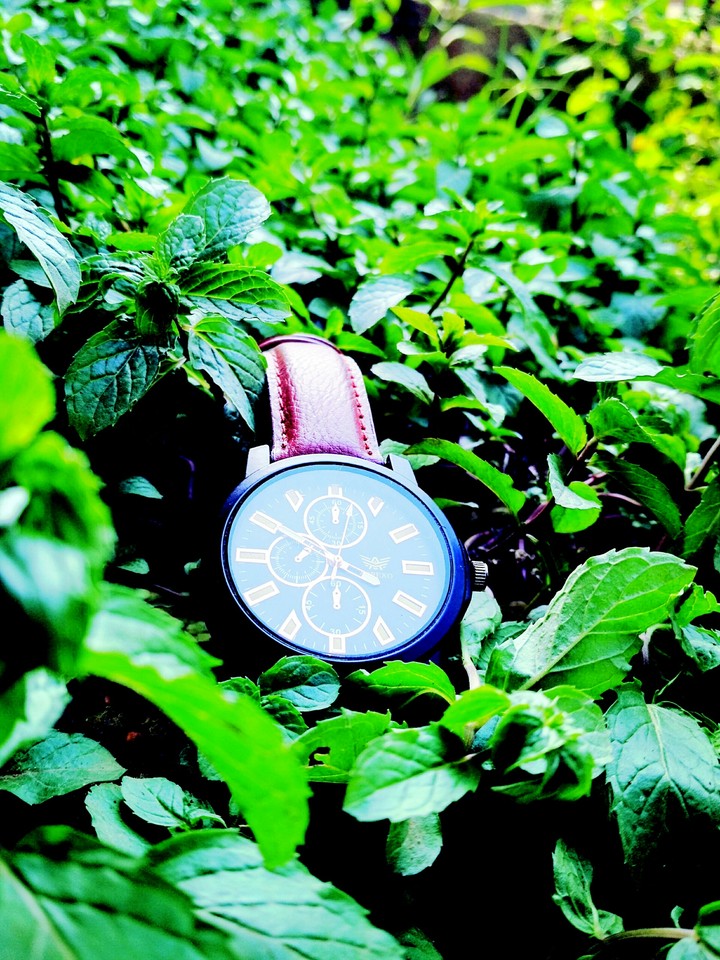 Watch in crop