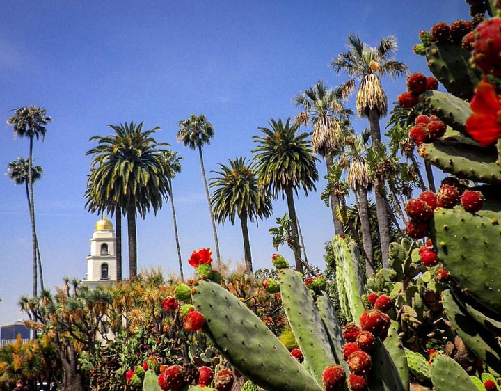 Beverly Hills
