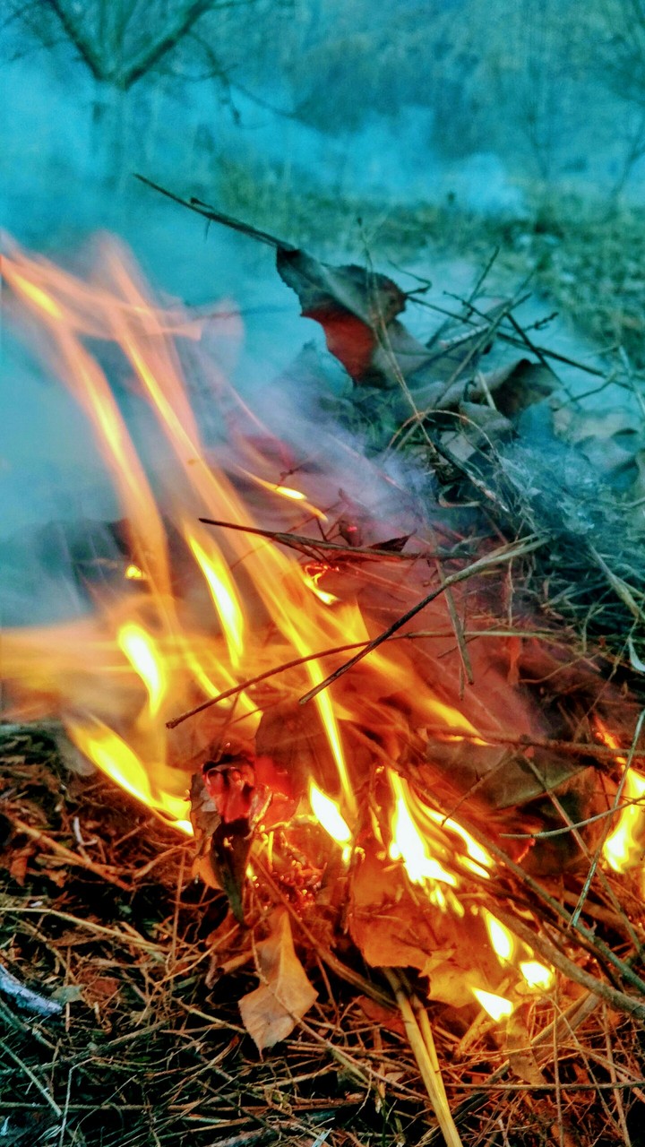 fire