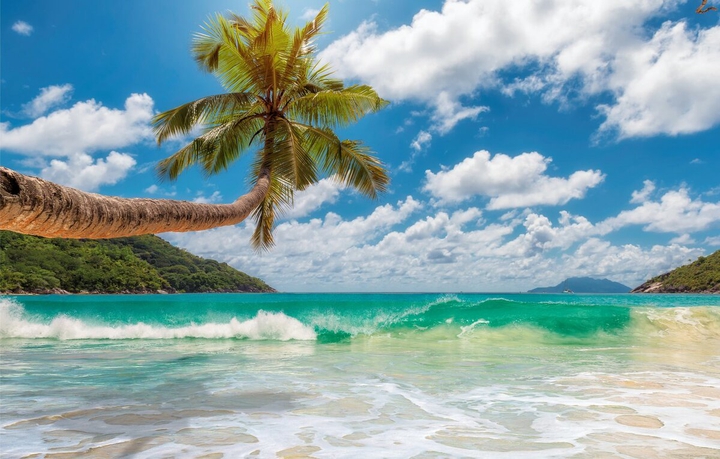 Sea
