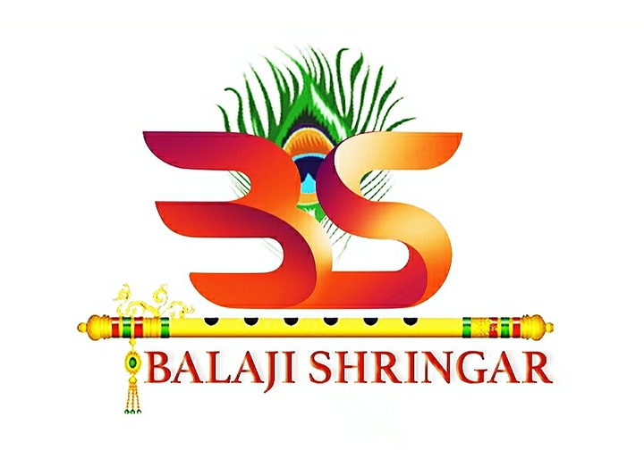 bs logo