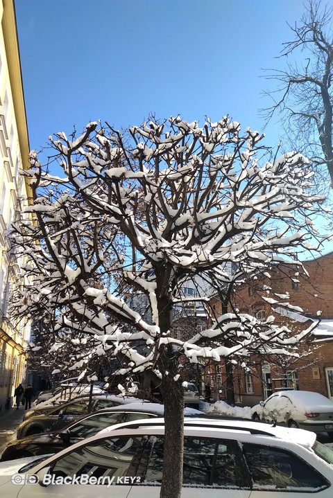winter