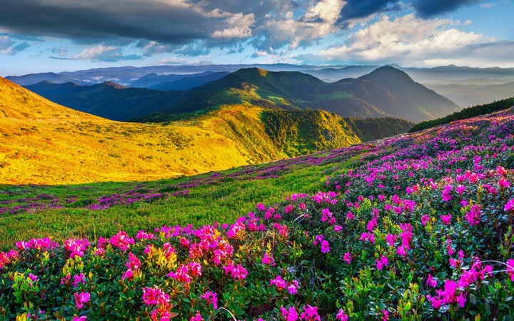 nature