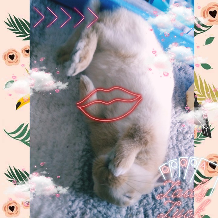 ??♥