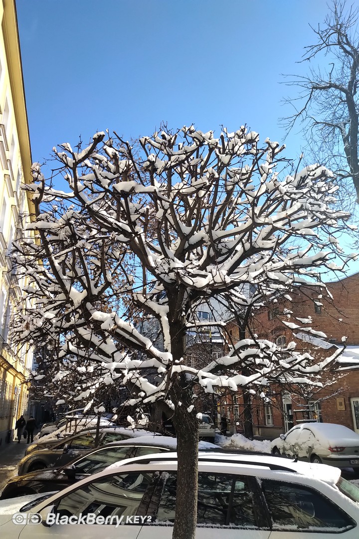 winter