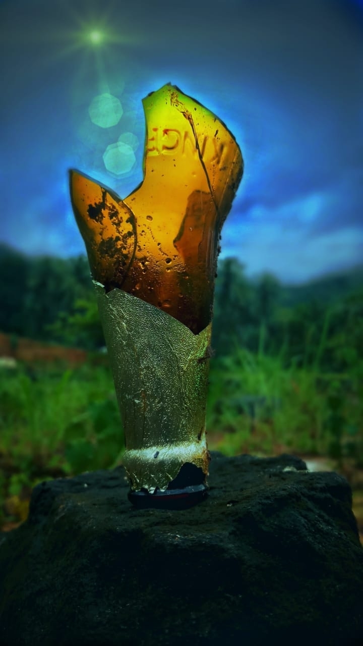 Bear glass