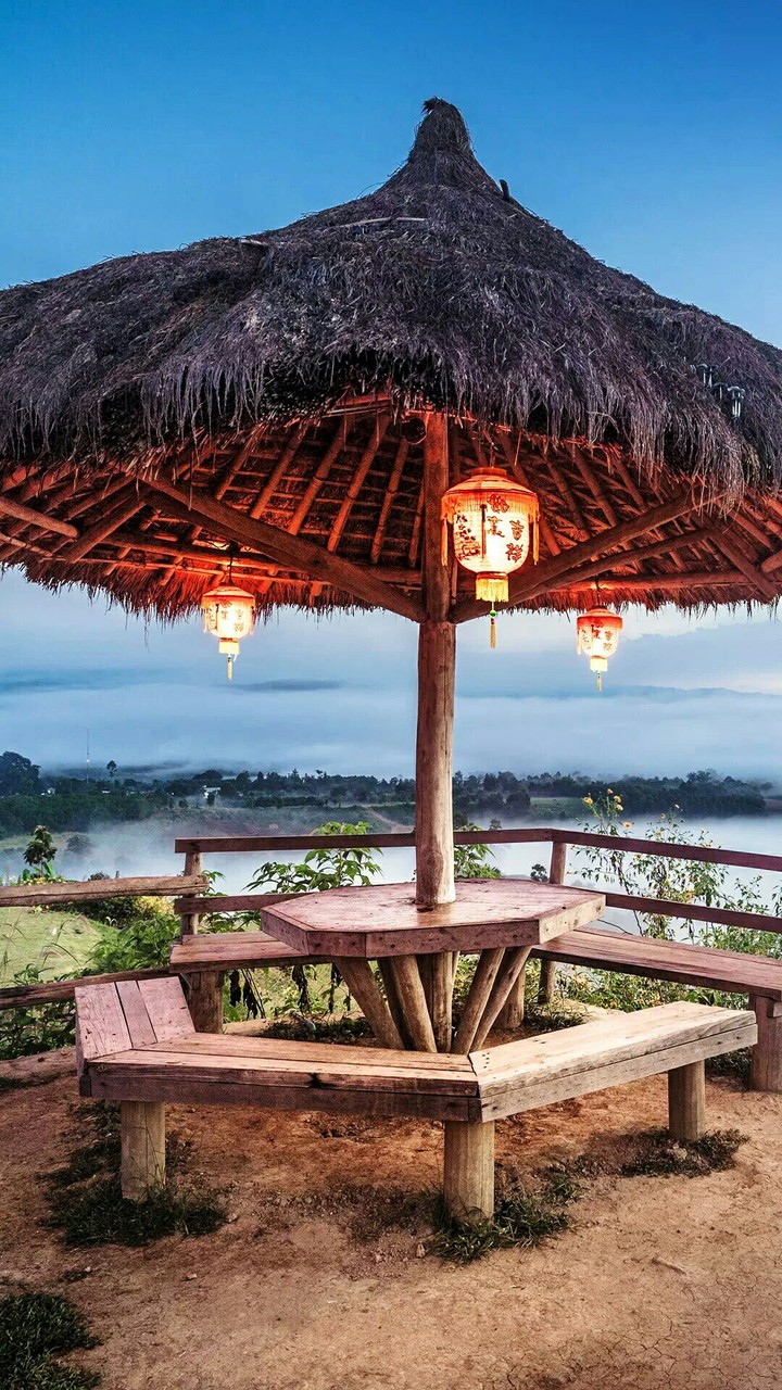 Nature - side Dinner