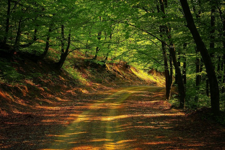 Sendero