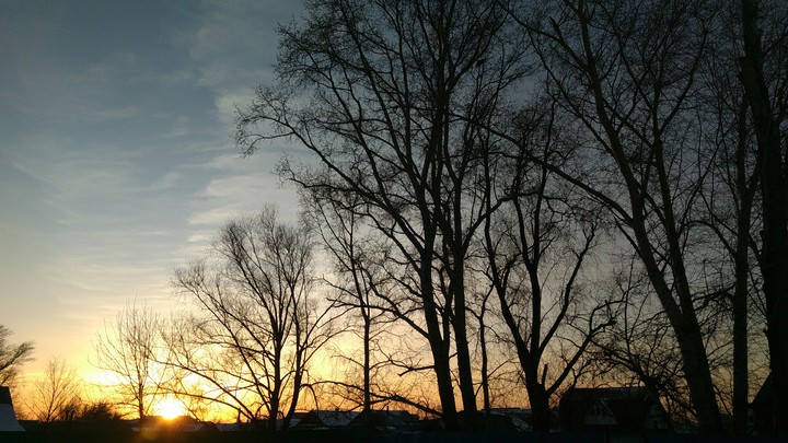 Evening
