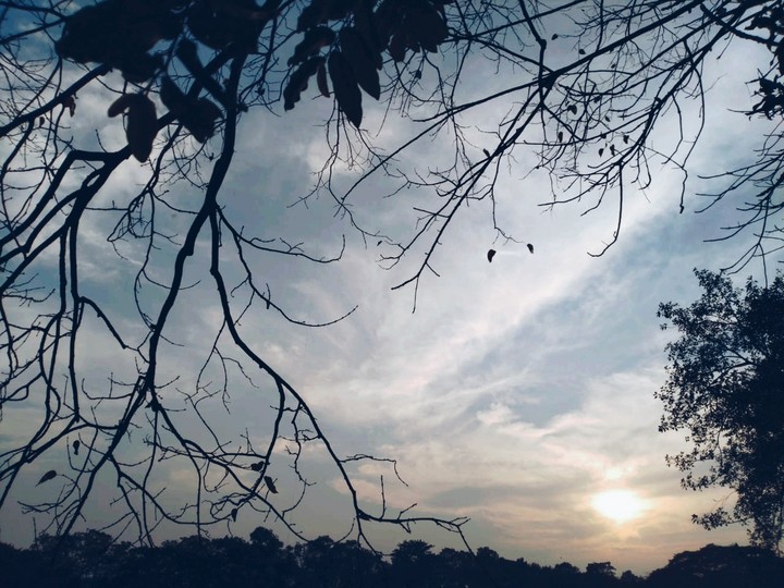 winter gloom