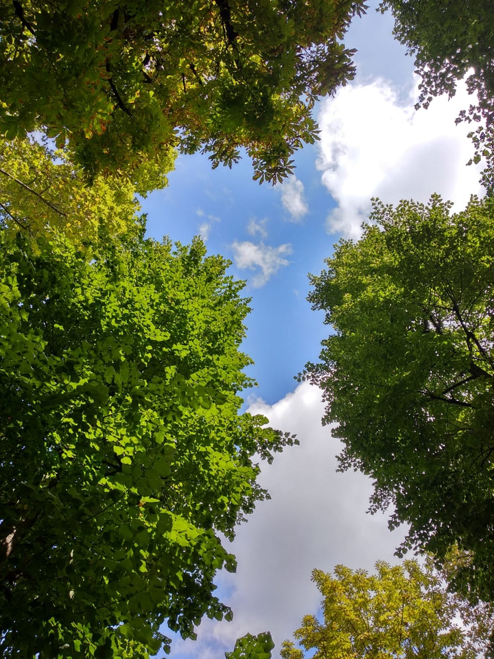 sky