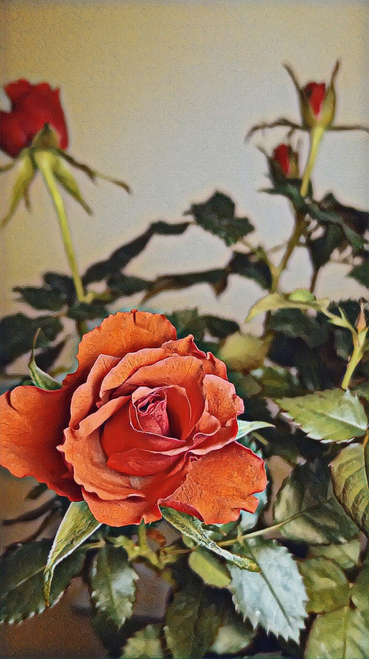 Nice flower