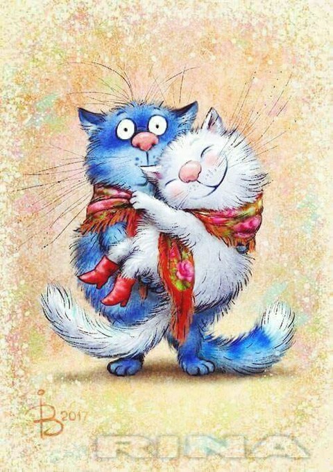 cat love