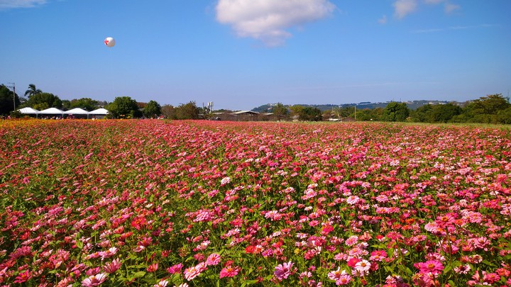 Taiwan-Flower Festival.